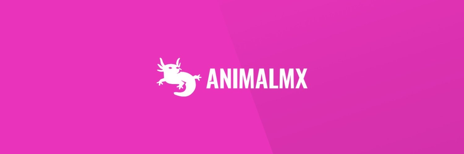 Animal MX's banner