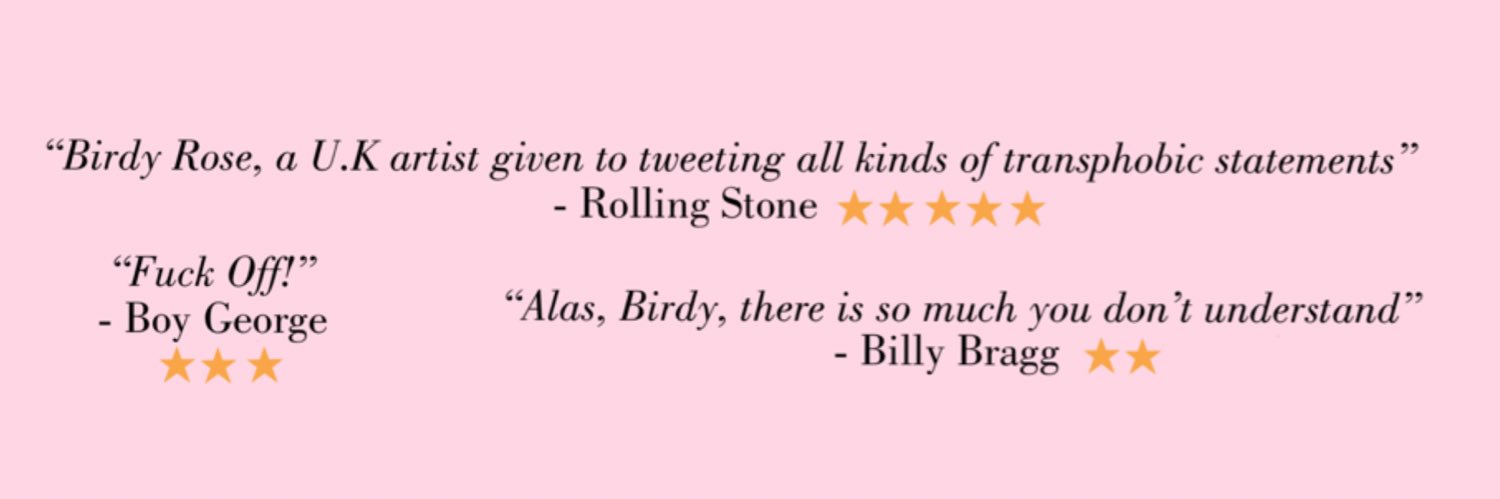 TheFamousArtistBirdyRose's banner