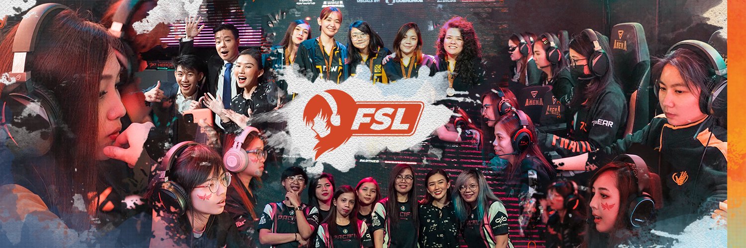 FSL's banner