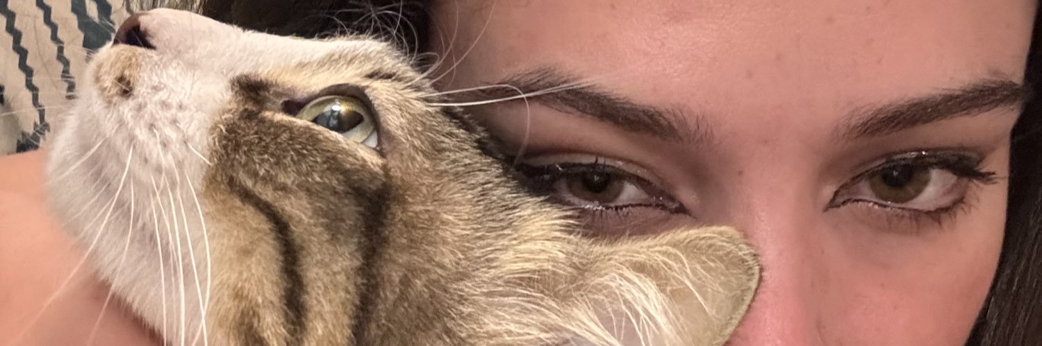 רומי גימל's banner