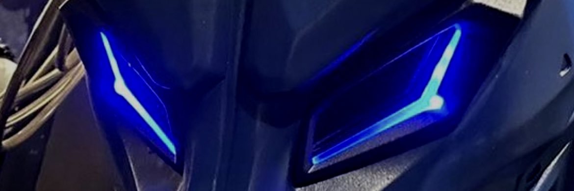 PupThaly's banner