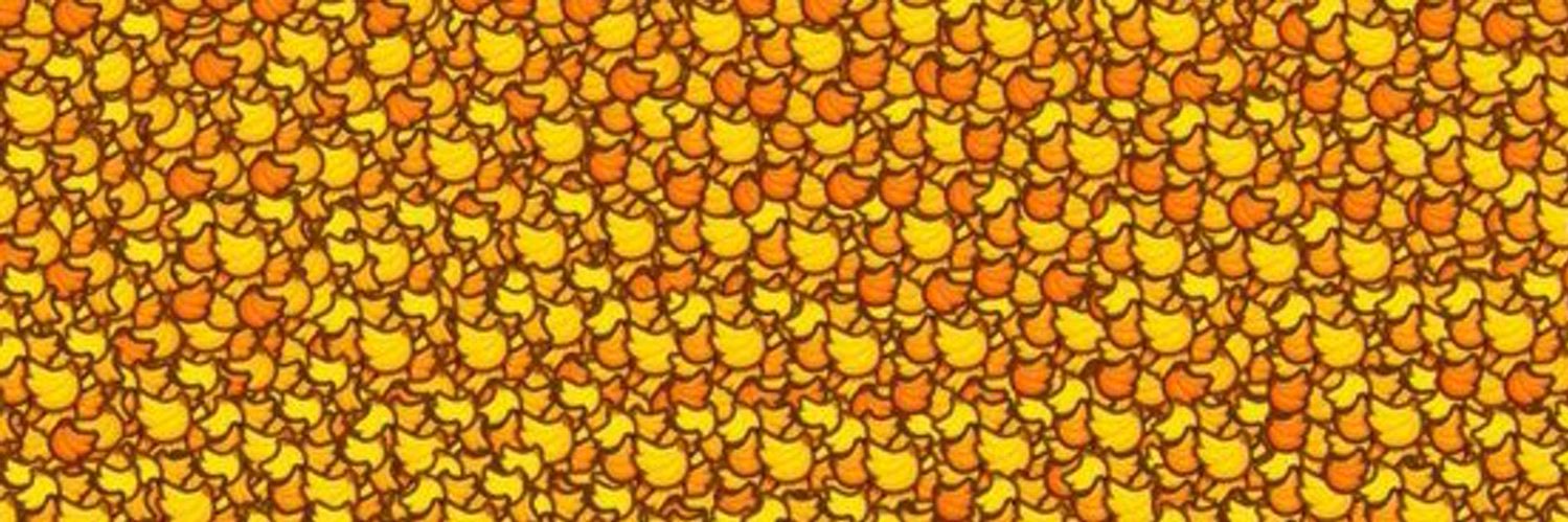 Banana Farm 🍌's banner