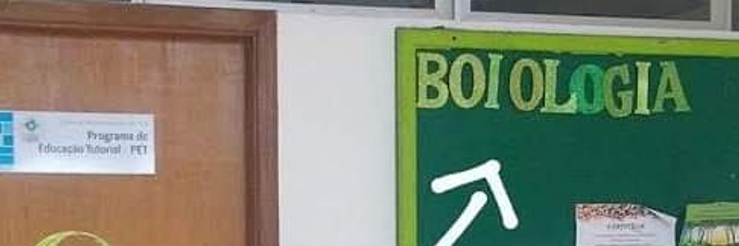 𝙿𝚎𝚝𝚒𝚝's banner