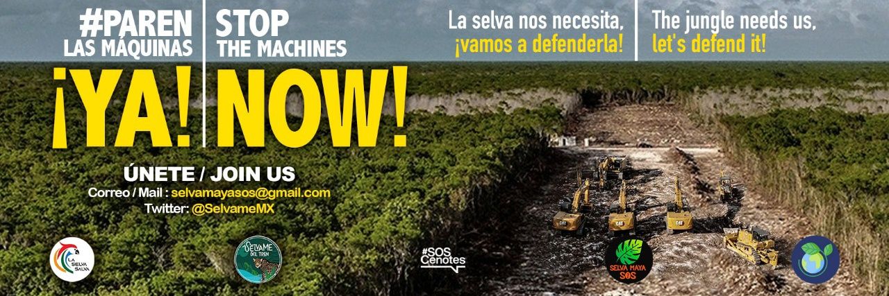 reforestacion's banner