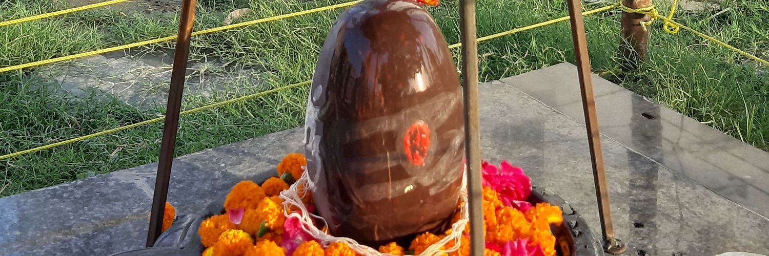 Vivek Sharma's banner