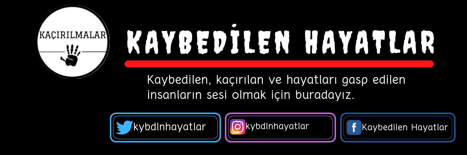 Kaybedilen Hayatlar's banner