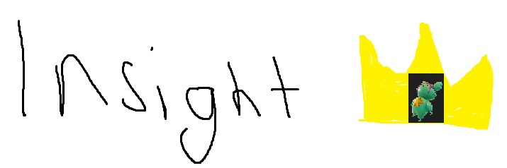 Insight's banner