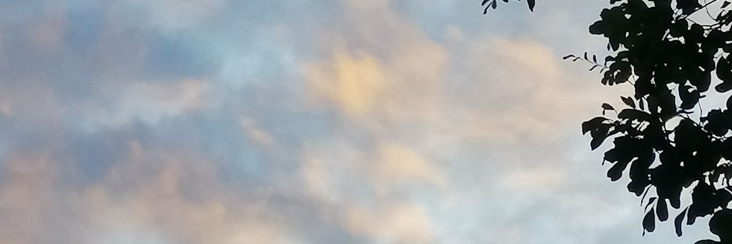 orm kornnaphat🌈's banner