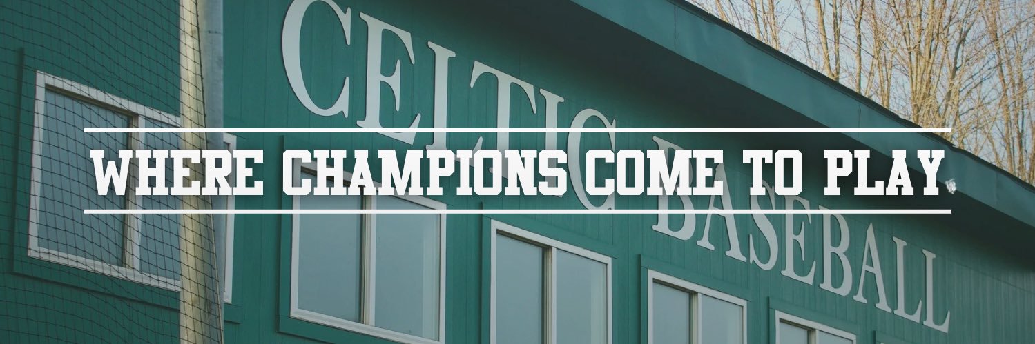 Providence Catholic Baseball's banner