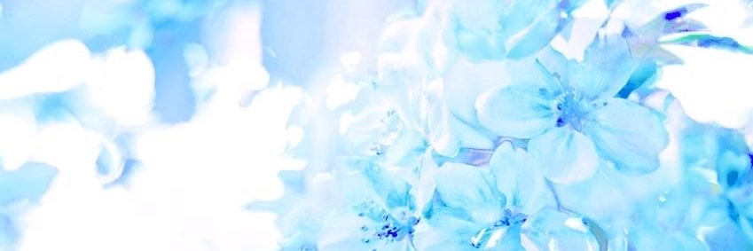 blue's banner