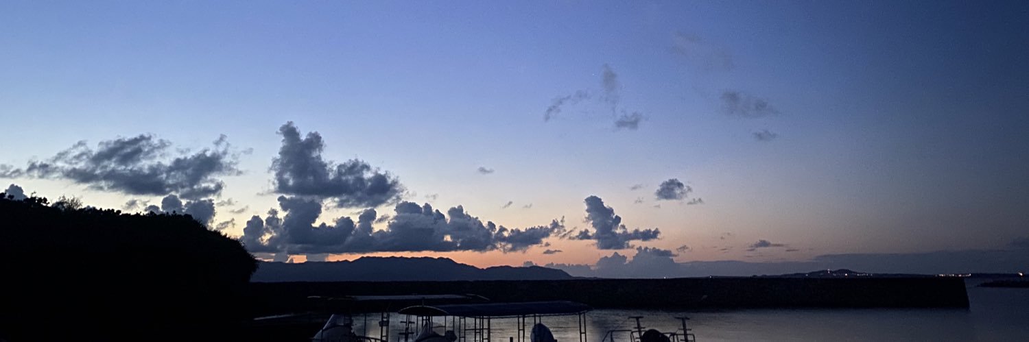 マンダリン🇯🇵南の島で疎開暮らし's banner