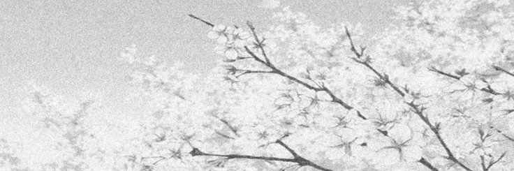 seeco's banner