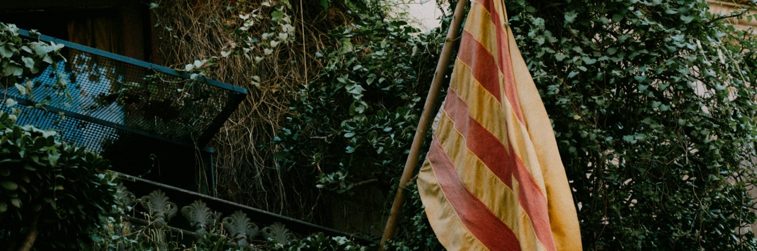 Ferran's banner