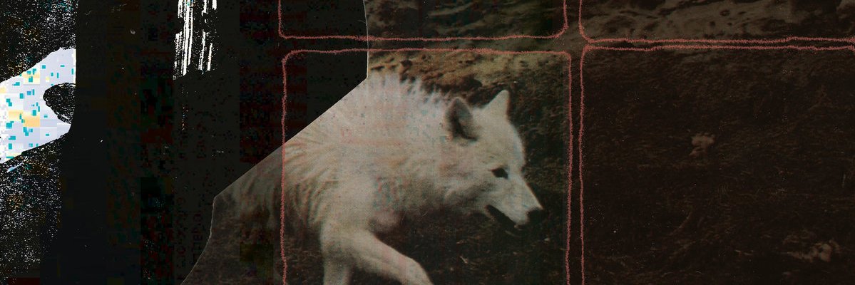 Ирука_09🇵🇸's banner