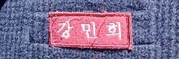 sagua's banner