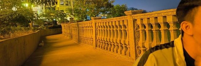 သိန်းငှက်'s banner