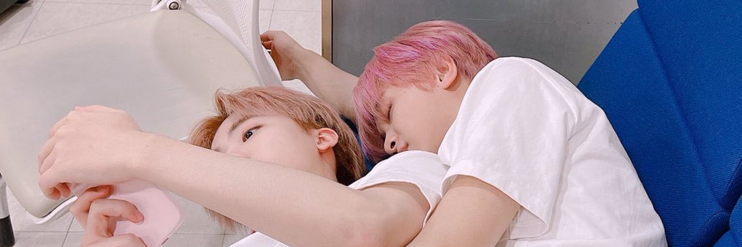 🐱's banner