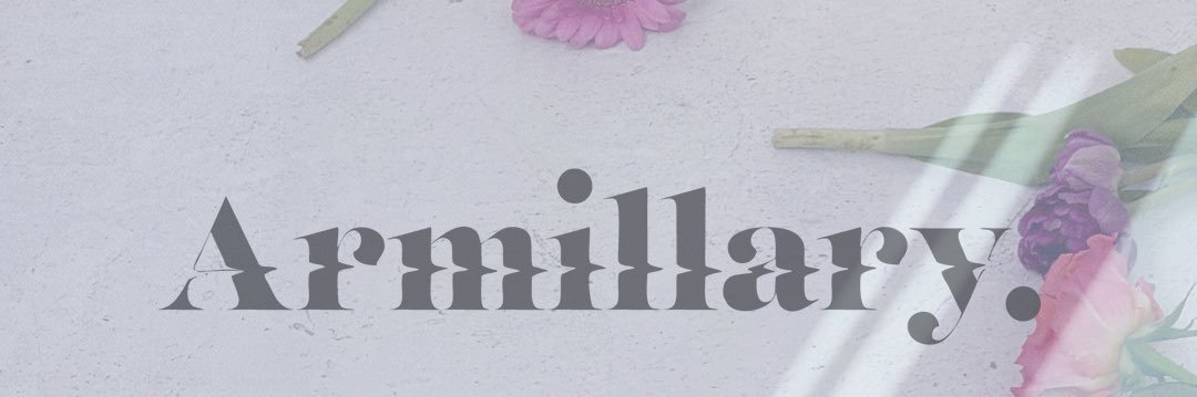 armillary_official's banner