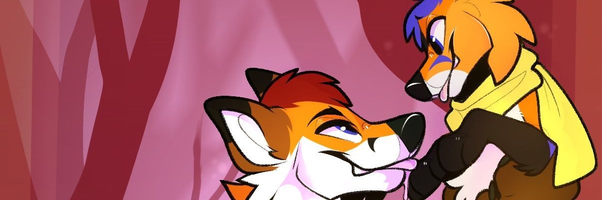 AeroFox🦊's banner