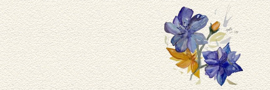 yoooonie's banner