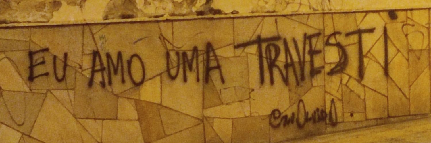luna das cambalhota 🏳️‍⚧️'s banner