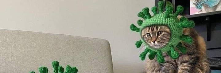 lalakkk🌱's banner