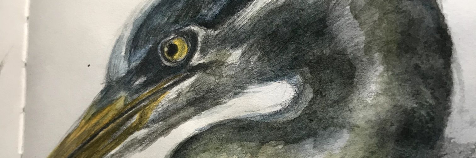 wintry's banner