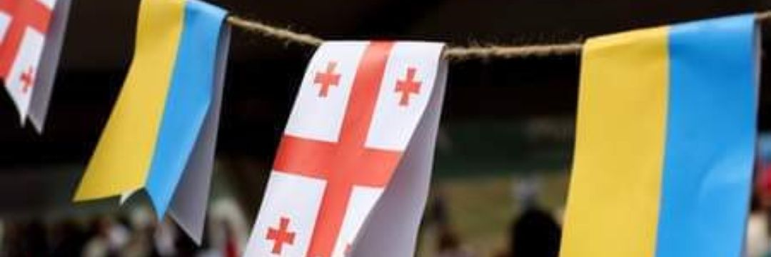 🇬🇪Georgian-Banderivka🇺🇦's banner