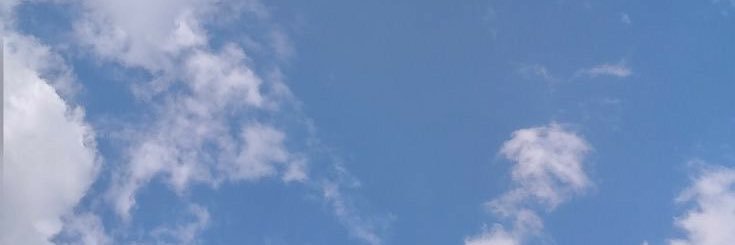 Maggie Tabibi's banner