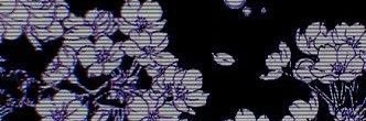 ~'s banner