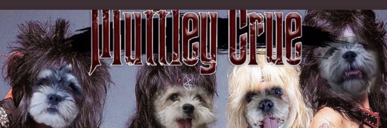 DJ Jazzy Juris Doctor 2.0's banner