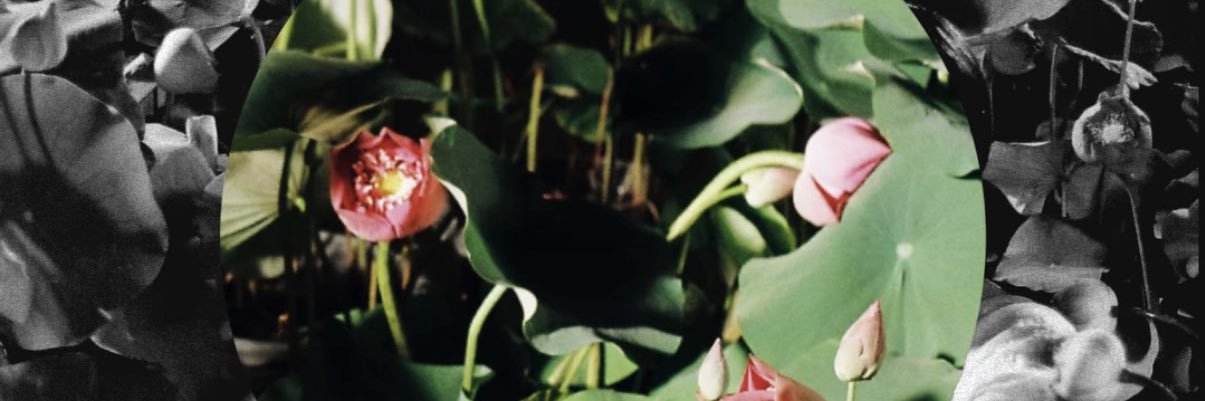 ` 𝟐𝟑% 𝙛𝙩. 𝙆𝙋 🤍's banner