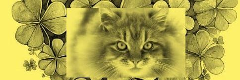 Cris_Bouzas 💛's banner