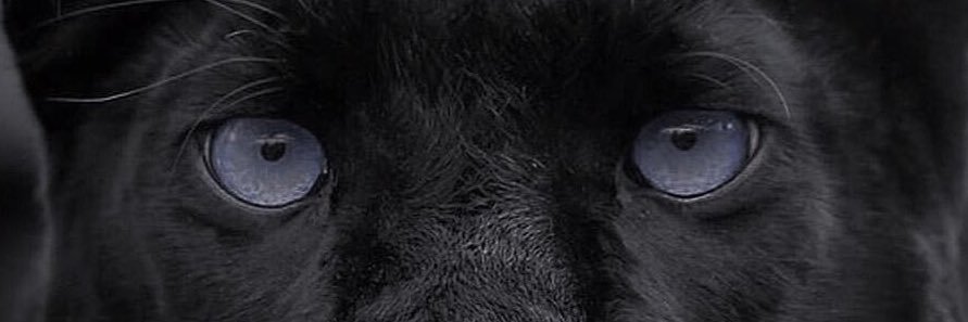 Luke&Lala🦋's banner
