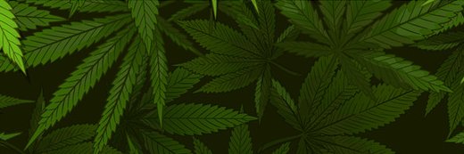 Chapo Do Chong's banner