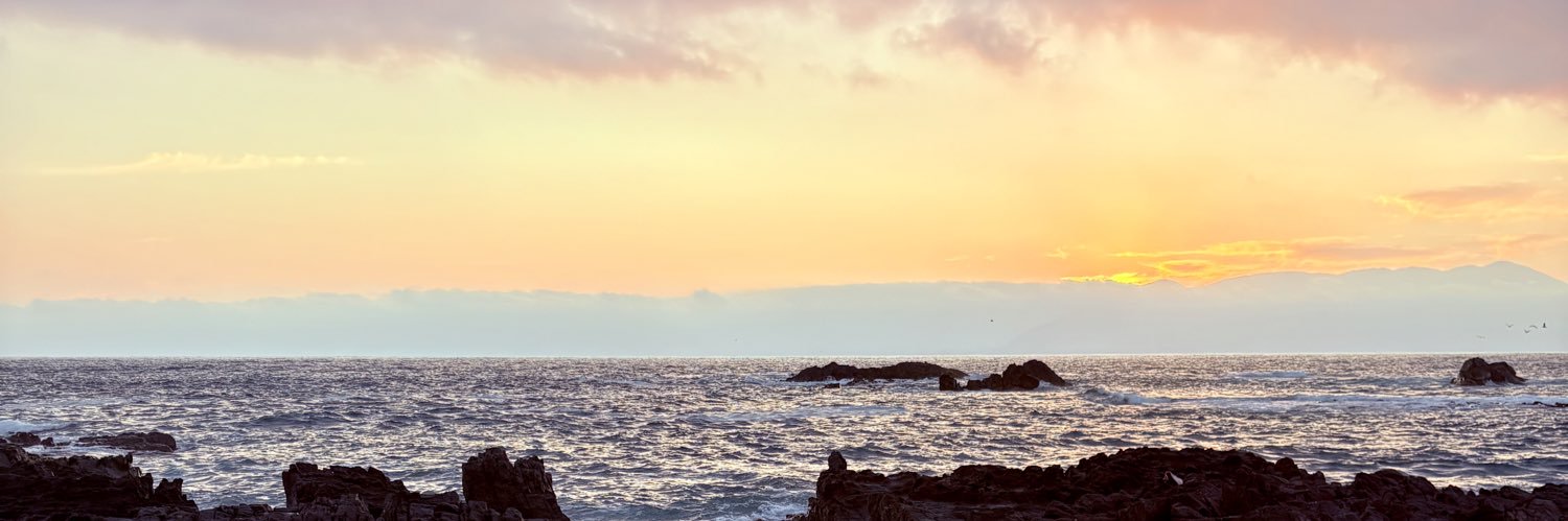 camila's banner