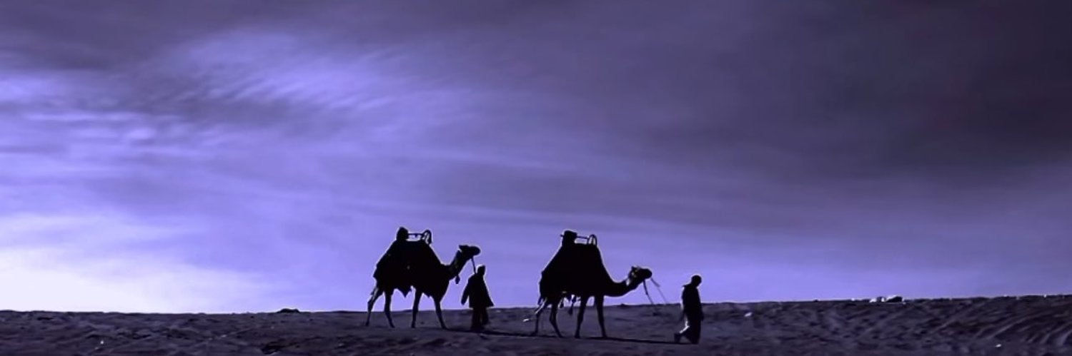 مفرح بدر's banner