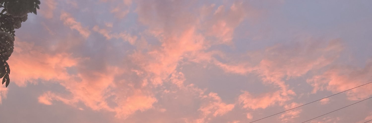 jas *ੈ✩‧₊˚'s banner