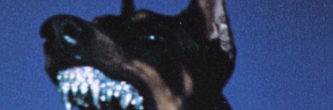 Rawdog's banner