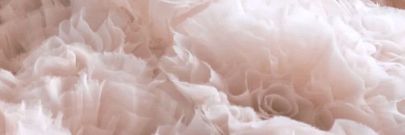 すちゃみ's banner