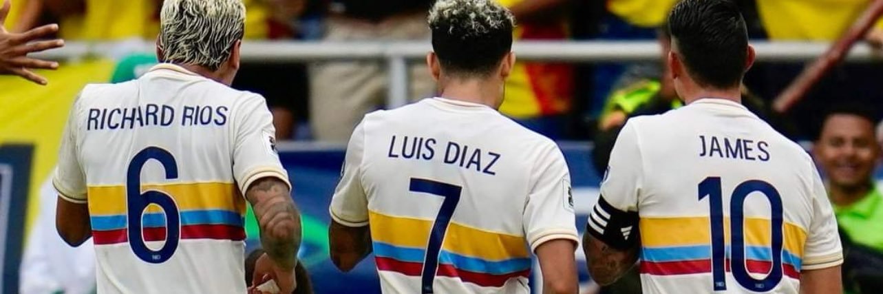 Luiss's banner
