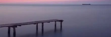 随便看看's banner
