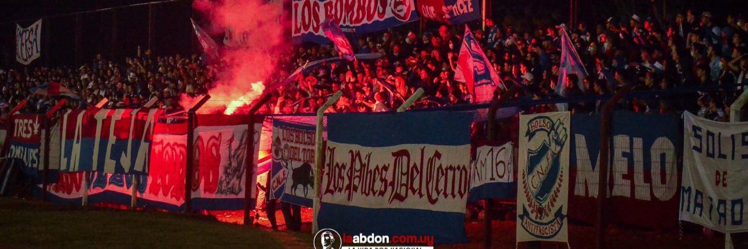 Bolso Antifascista's banner