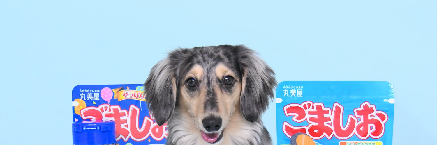 海まりん 【のんふぃく！】's banner