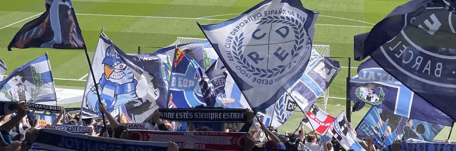 Braitwey 🐐's banner