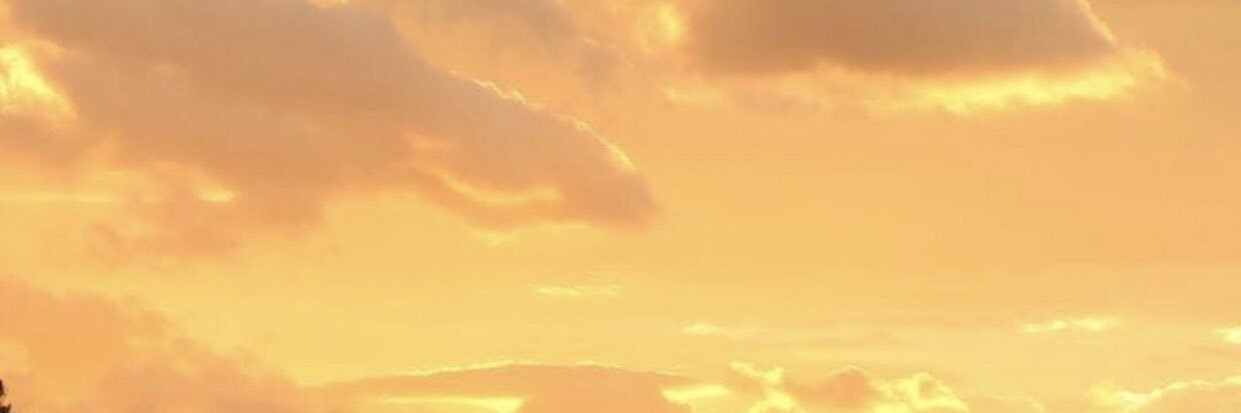 Mars.รีวิว✨'s banner