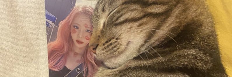 greed🦐쥬꼬's banner
