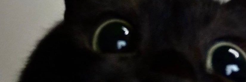 ♈︎'s banner