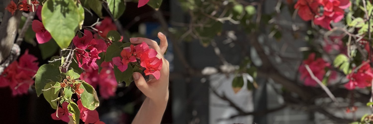 横野すみれ's banner