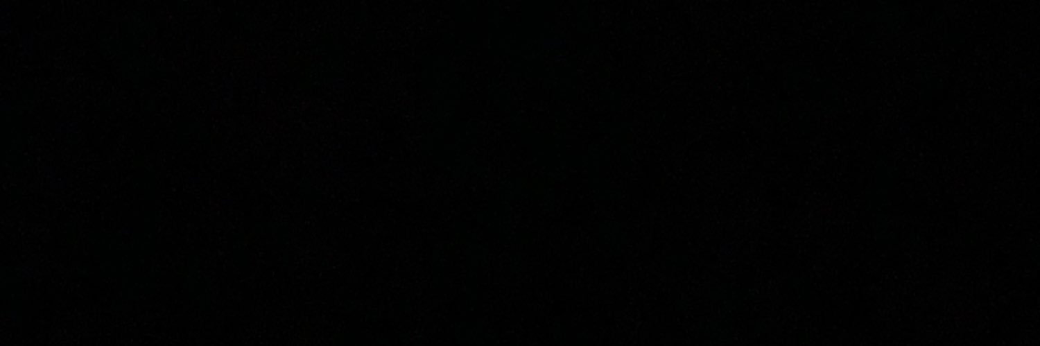 L's banner